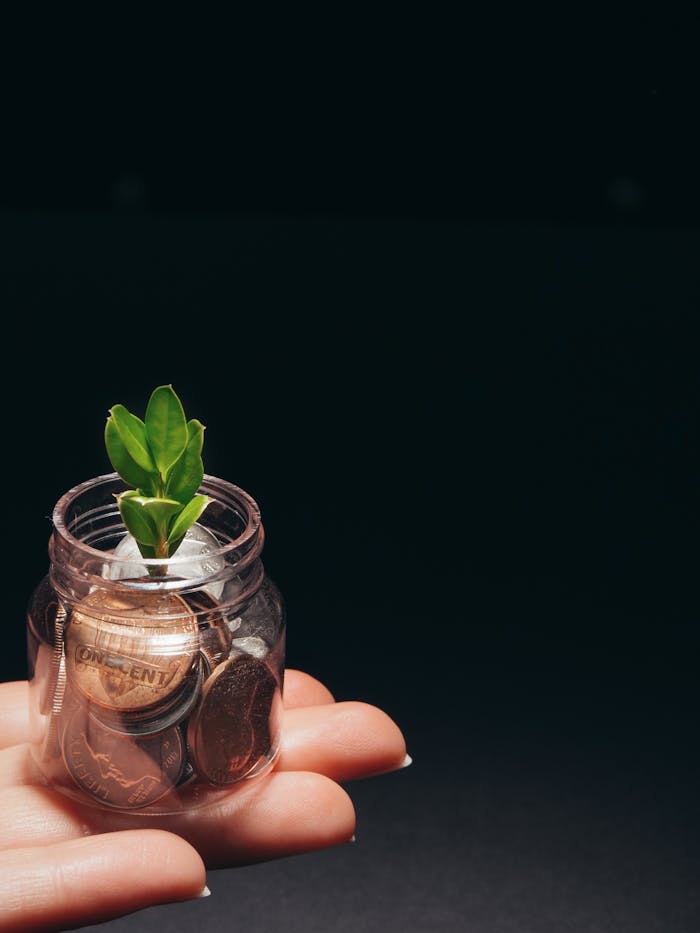 who-we-are A small plant growing in a glass jar filled with coins, represents financial growth and sustainability.